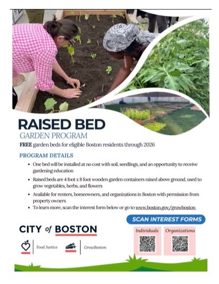 Description of your photo